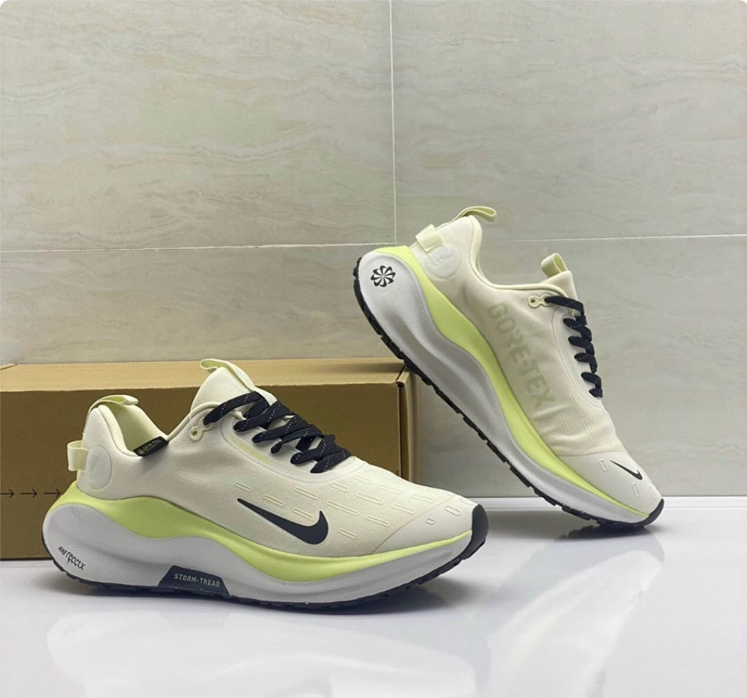 Nike infinity run 4 shoes